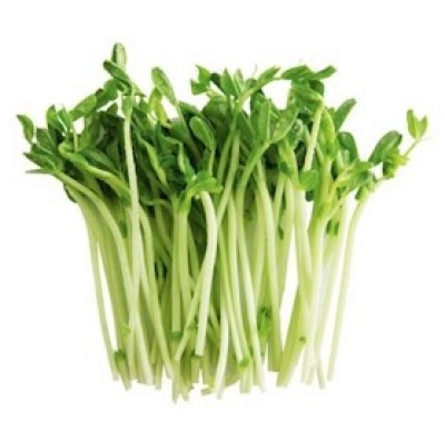 SL-PEA SPROUT  200GM